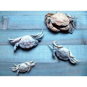 ToyEuropean GreenCrab figures from New England beach ocean science nature decor